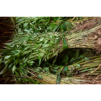 Dried Fenugreek Leaves